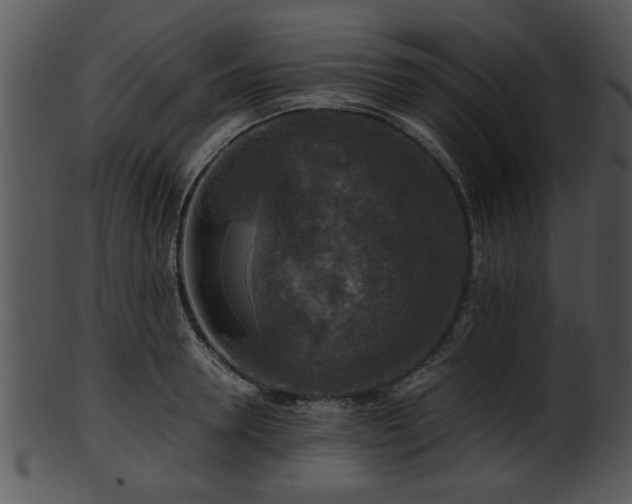 X0000101410946200807141128