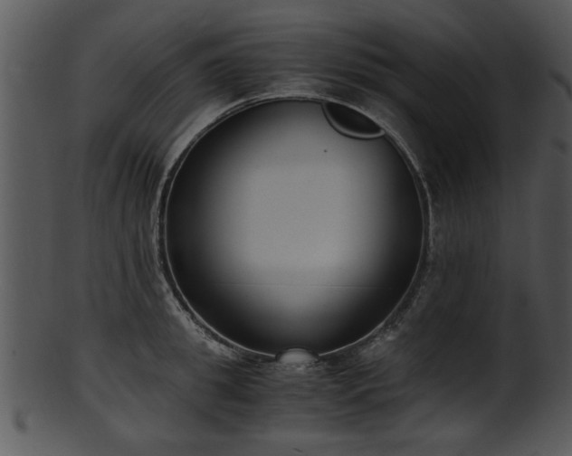 X0000101410949200807141128