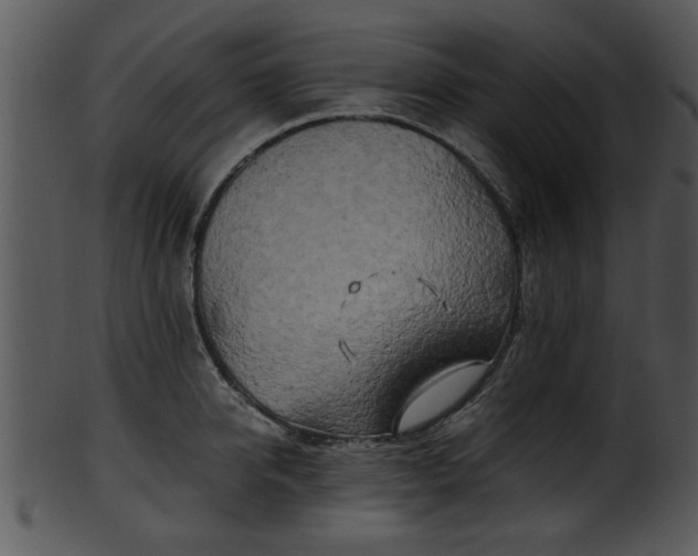 X0000101410950200807141128