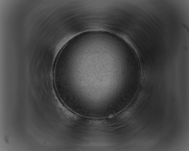 X0000101410951200807141128