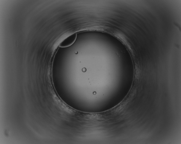 X0000101410952200807141128