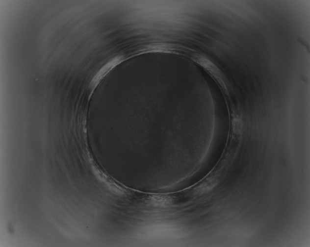 X0000101410954200807141128