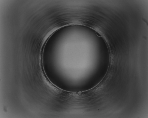 X0000101410955200807141128