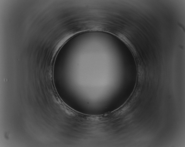 X0000101410956200807141128