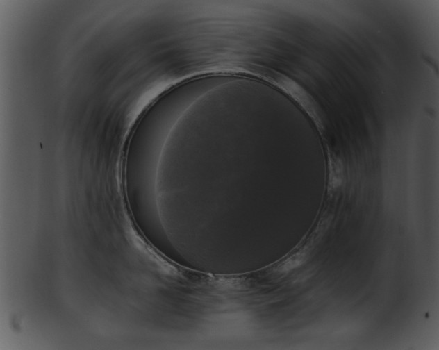 X0000101410958200807141128