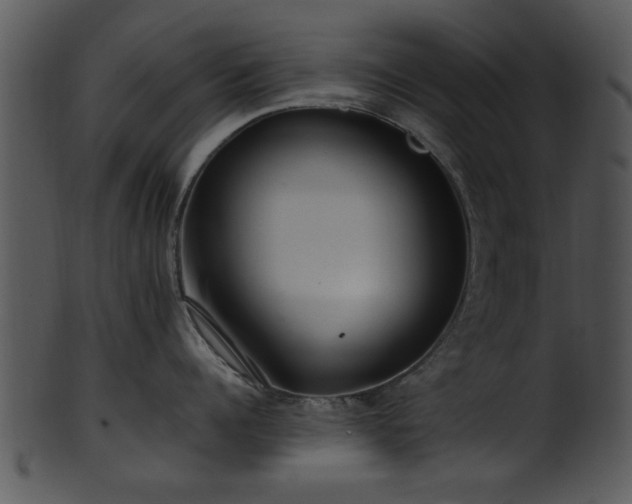X0000101410960200807141128