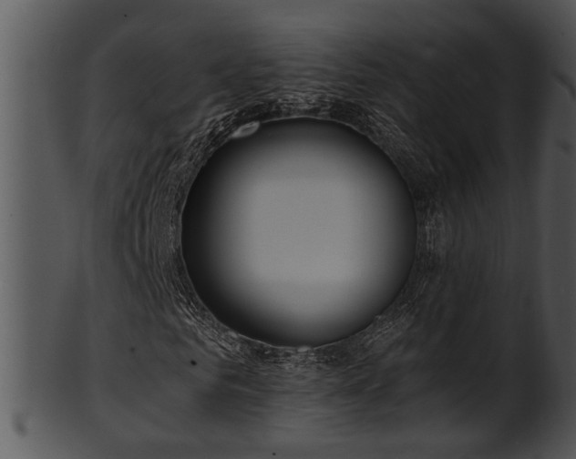 X0000101410961200807141128