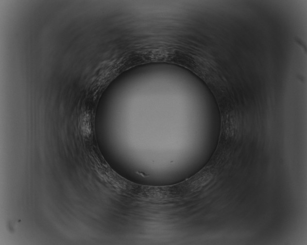 X0000101410962200807141128