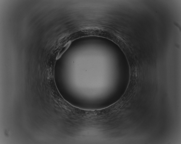 X0000101410965200807141128
