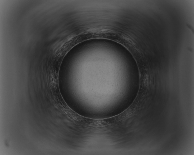 X0000101410966200807141128