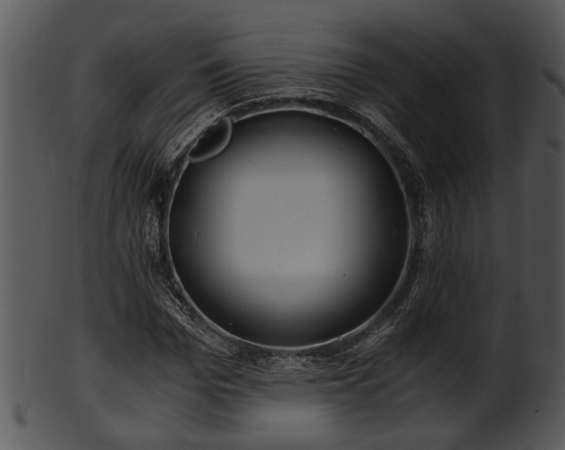 X0000101410969200807141128