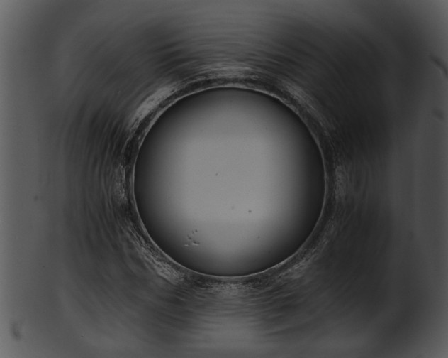 X0000101410970200807141128