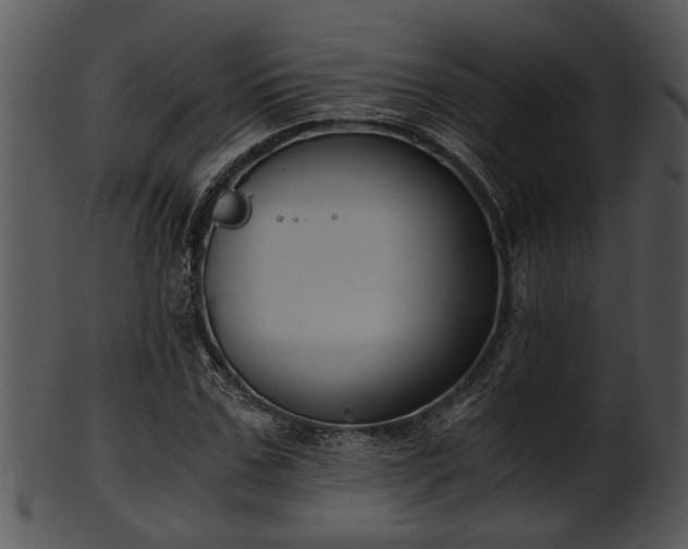 X0000101410971200807141127