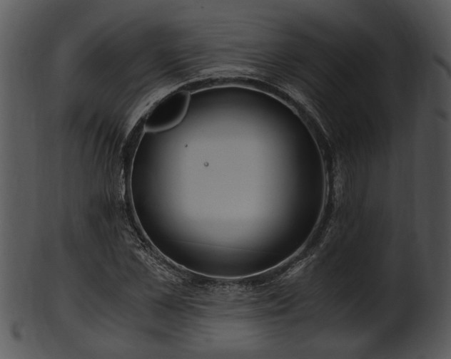 X0000101410973200807141127