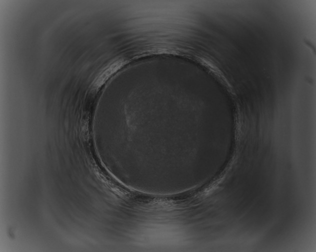 X0000101410977200807141127