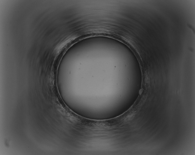 X0000101410979200807141127