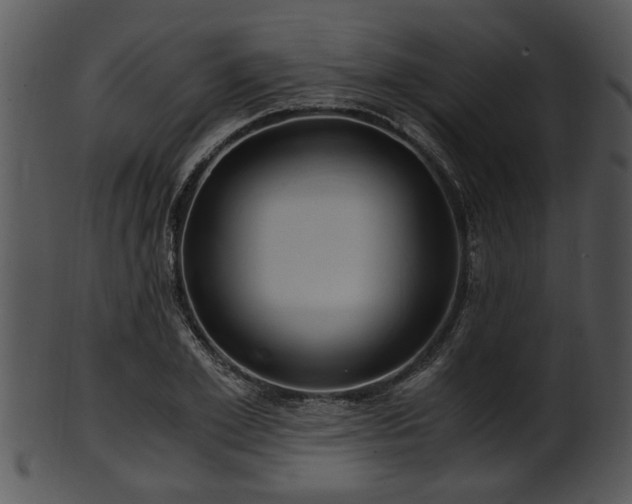 X0000101410981200807141127