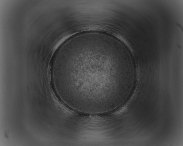 X0000101410983200807141127