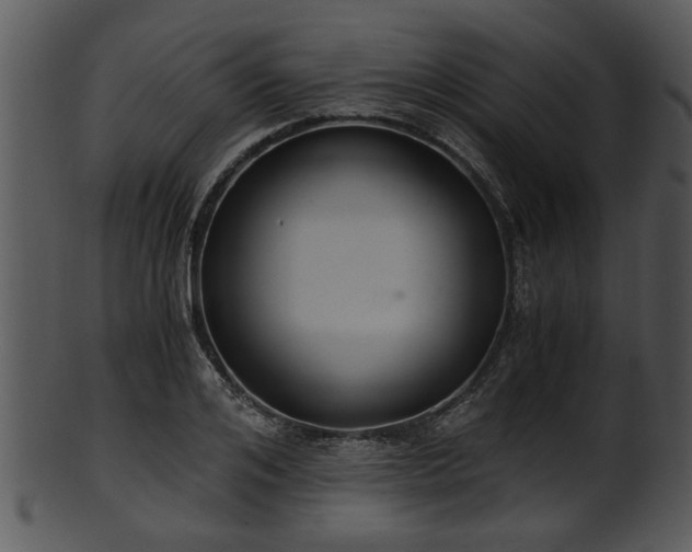 X0000101410984200807141127