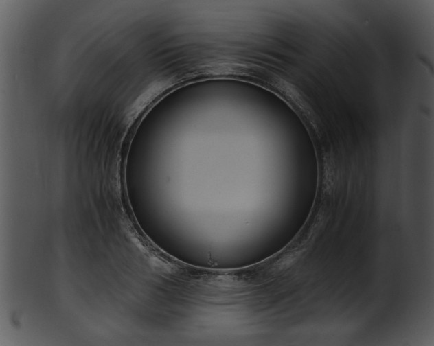 X0000101410986200807141127