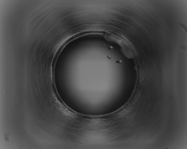 X0000101410988200807141127