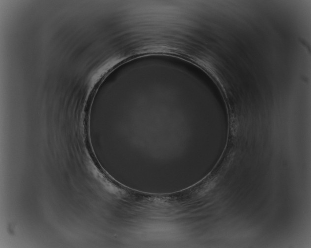 X0000101410995200807141127