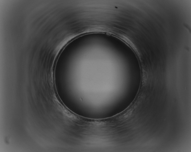 X0000101410996200807141127