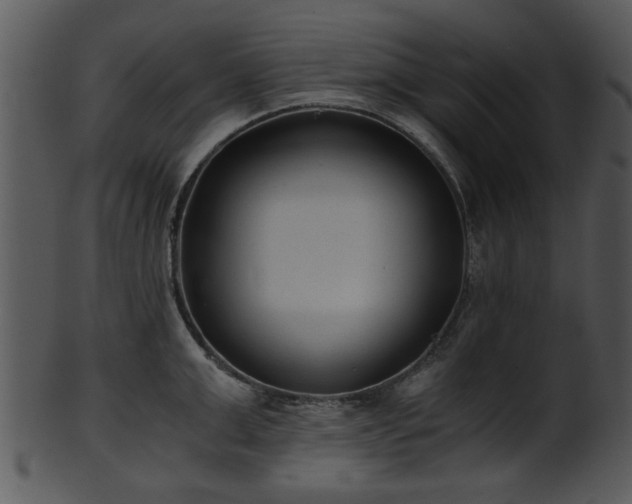 X0000101410999200807141127