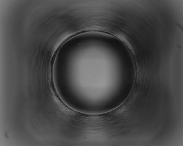 X0000101411000200807141127