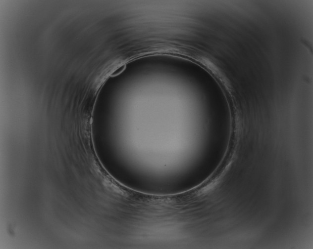 X0000101411001200807141127