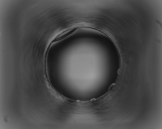 X0000101411008200807141127