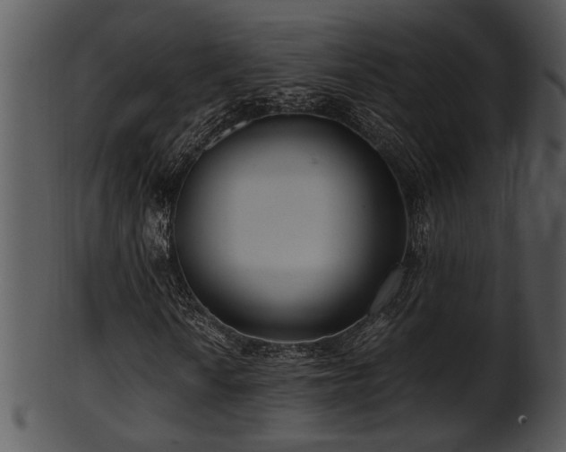 X0000101411010200807141126