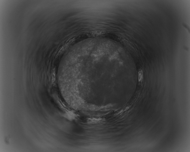 X0000101411011200807141126