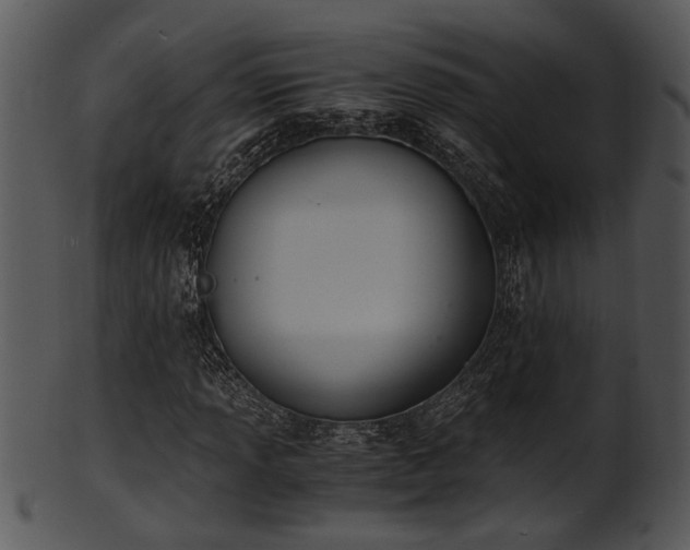 X0000101411013200807141126