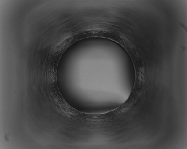 X0000101411014200807141126