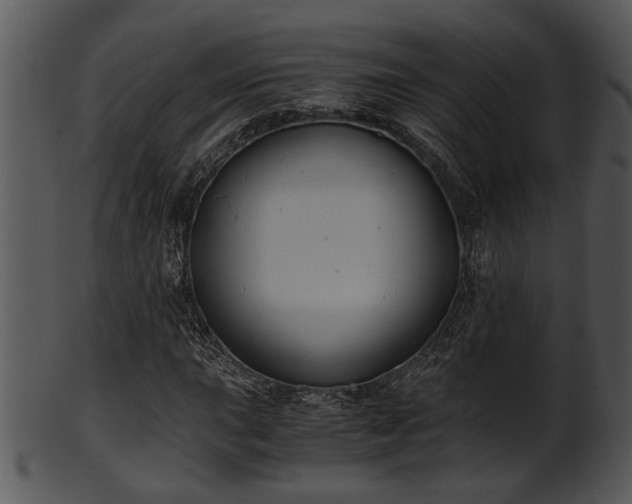 X0000101411015200807141126