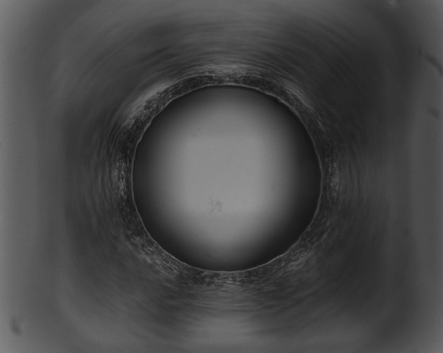 X0000101411016200807141126