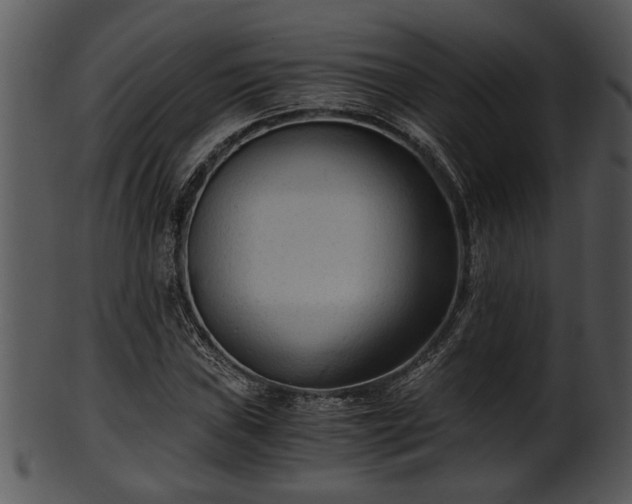 X0000101411019200807141126