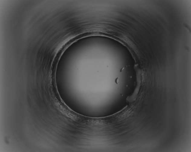 X0000101411020200807141126