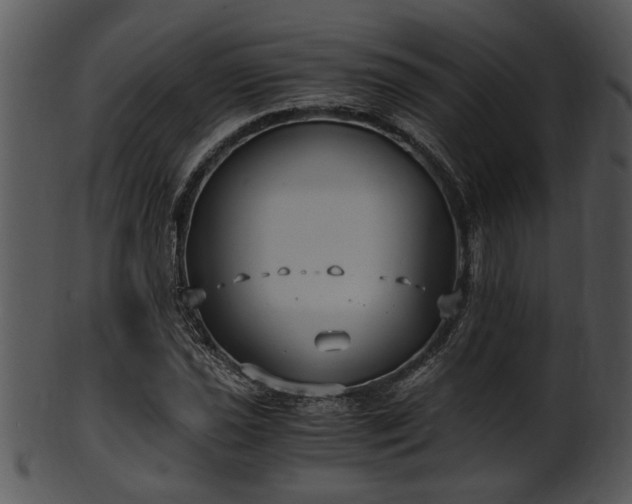 X0000101411021200807141126