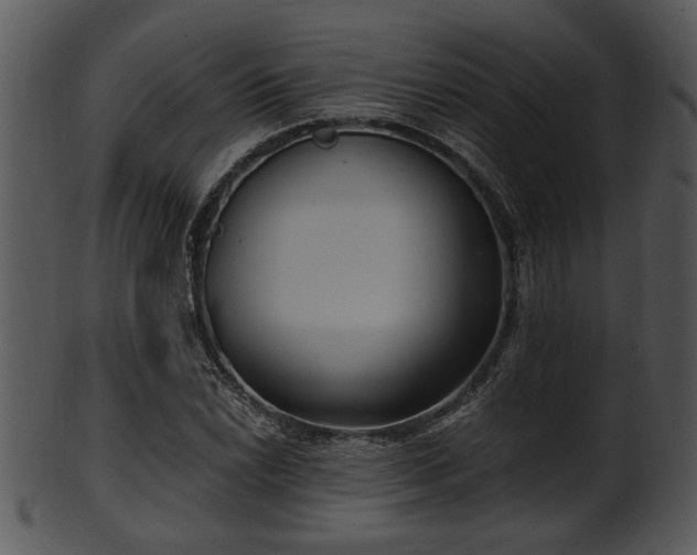 X0000101411022200807141126