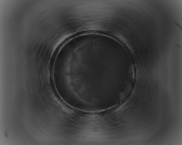 X0000101411024200807141126