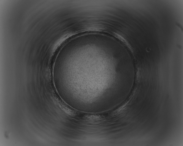 X0000101411027200807141126