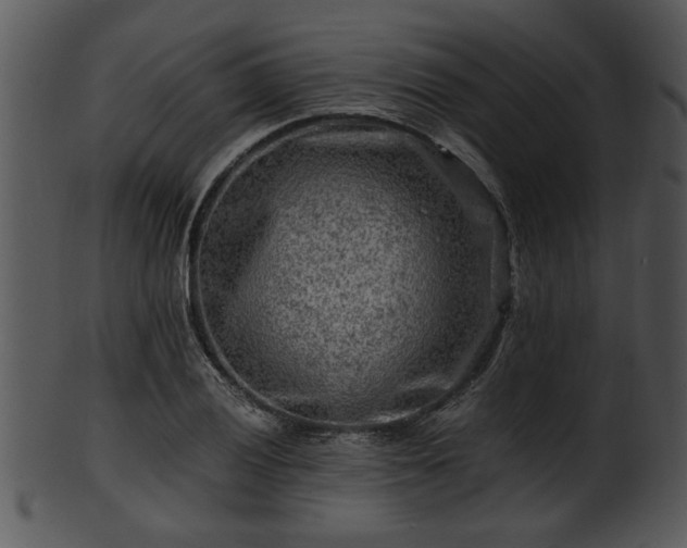 X0000101411028200807141126
