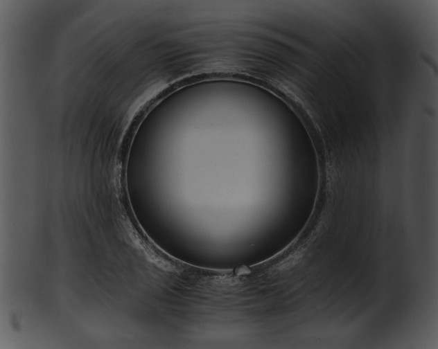 X0000101411029200807141126
