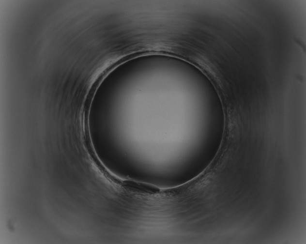 X0000101411032200807141126