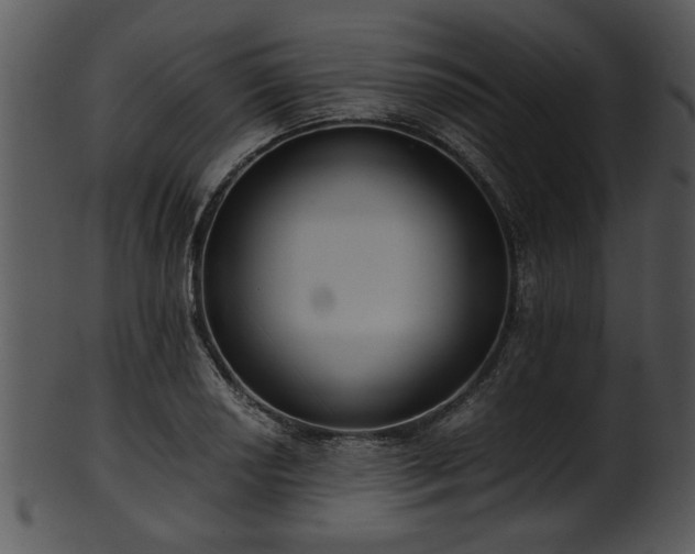 X0000101411034200807141126