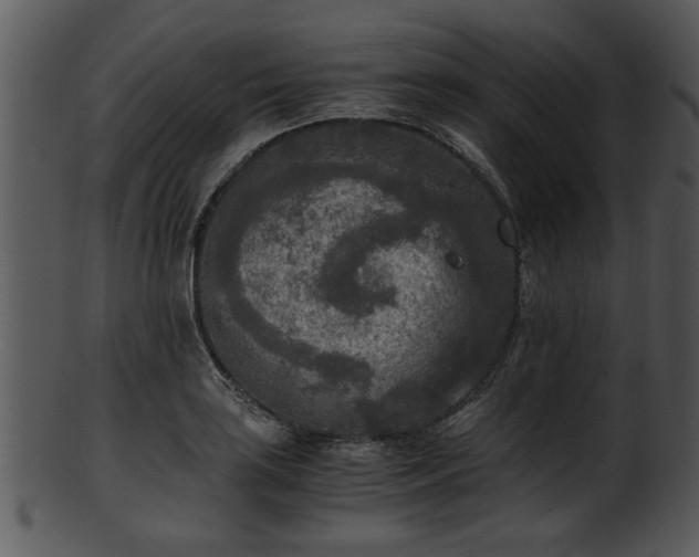 X0000101411035200807141126