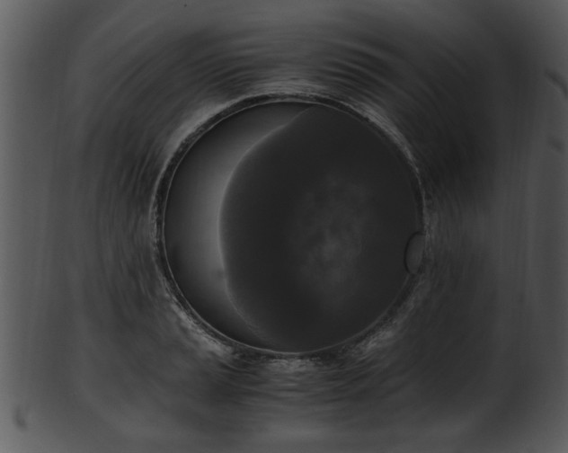 X0000101411037200807141127