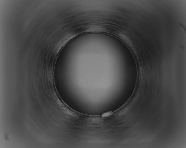 X0000101411041200807141127